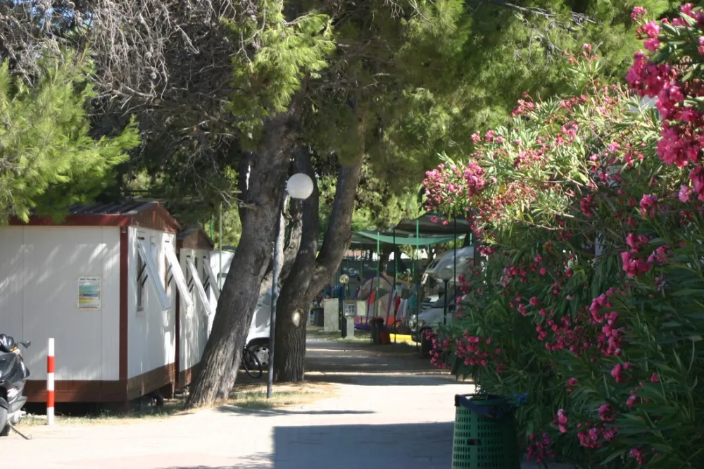 Camping Spiaggia Lunga