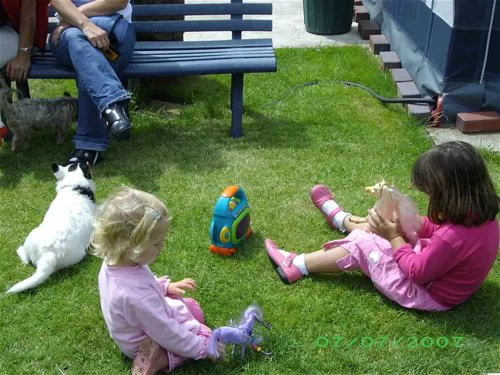 Campingplatz-Rheinblick