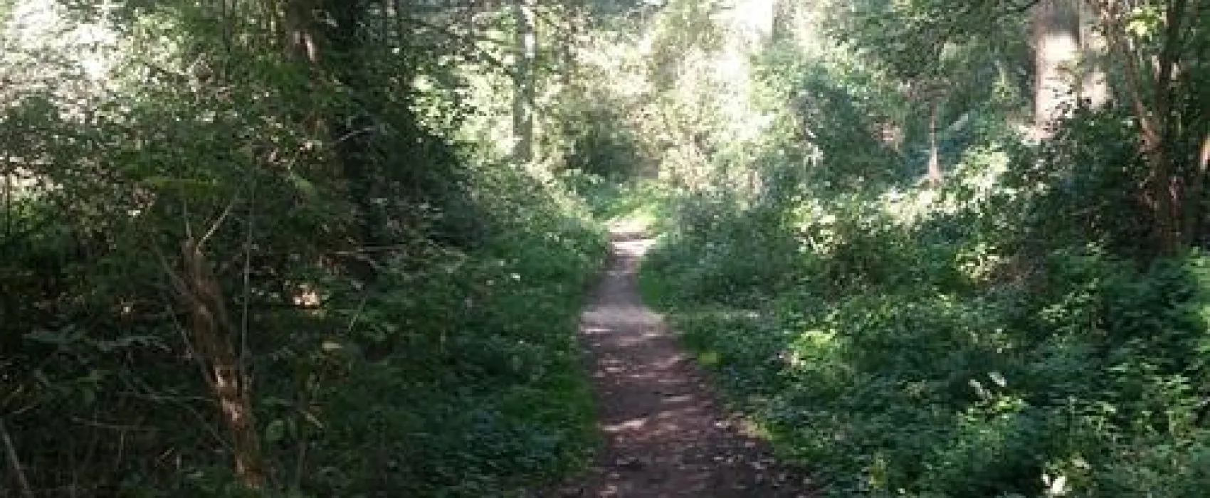 Campingplatz-Rheinblick