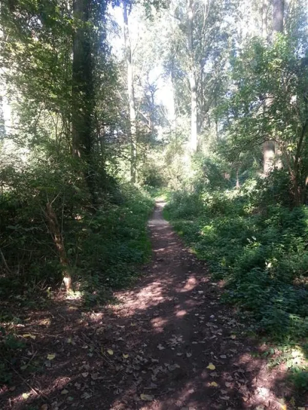 Campingplatz-Rheinblick