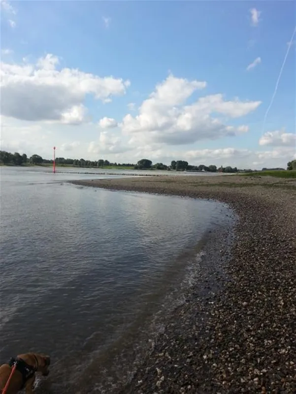 Campingplatz-Rheinblick