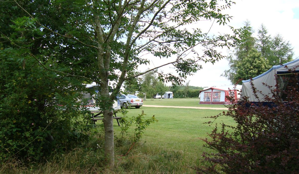 Bo-peep Caravan Park photo 2
