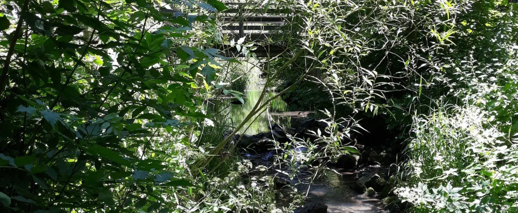 Campingplatz Am Niemetal