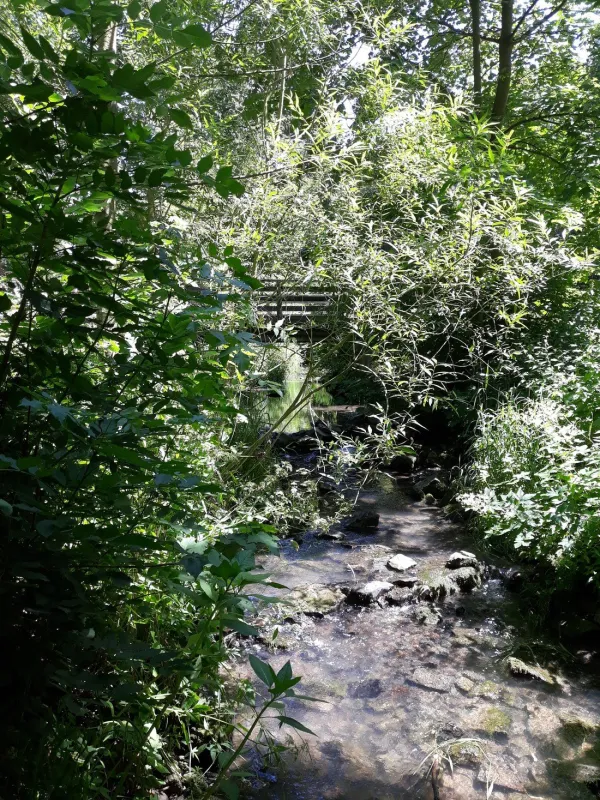 Campingplatz Am Niemetal