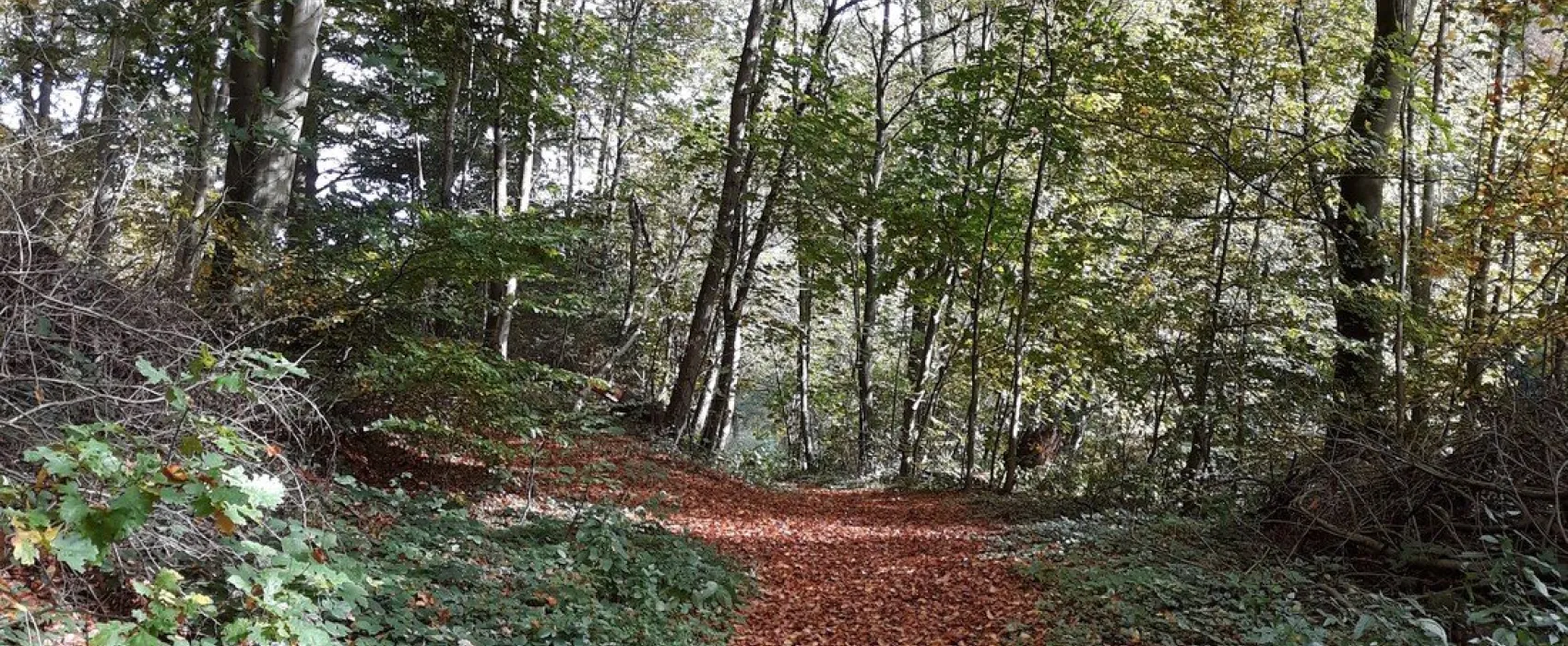 Campingplatz Am Niemetal
