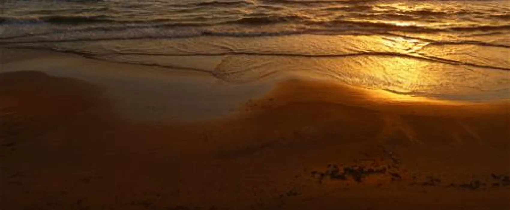 Gl. Klitgaard Camping + Hytteby