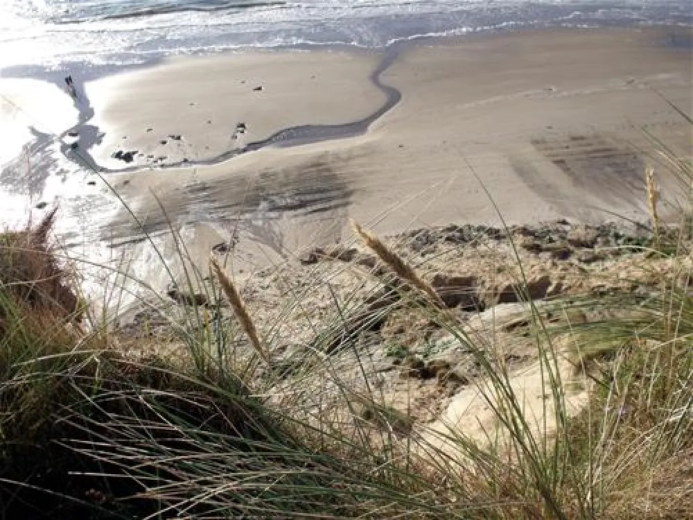 Gl. Klitgaard Camping + Hytteby