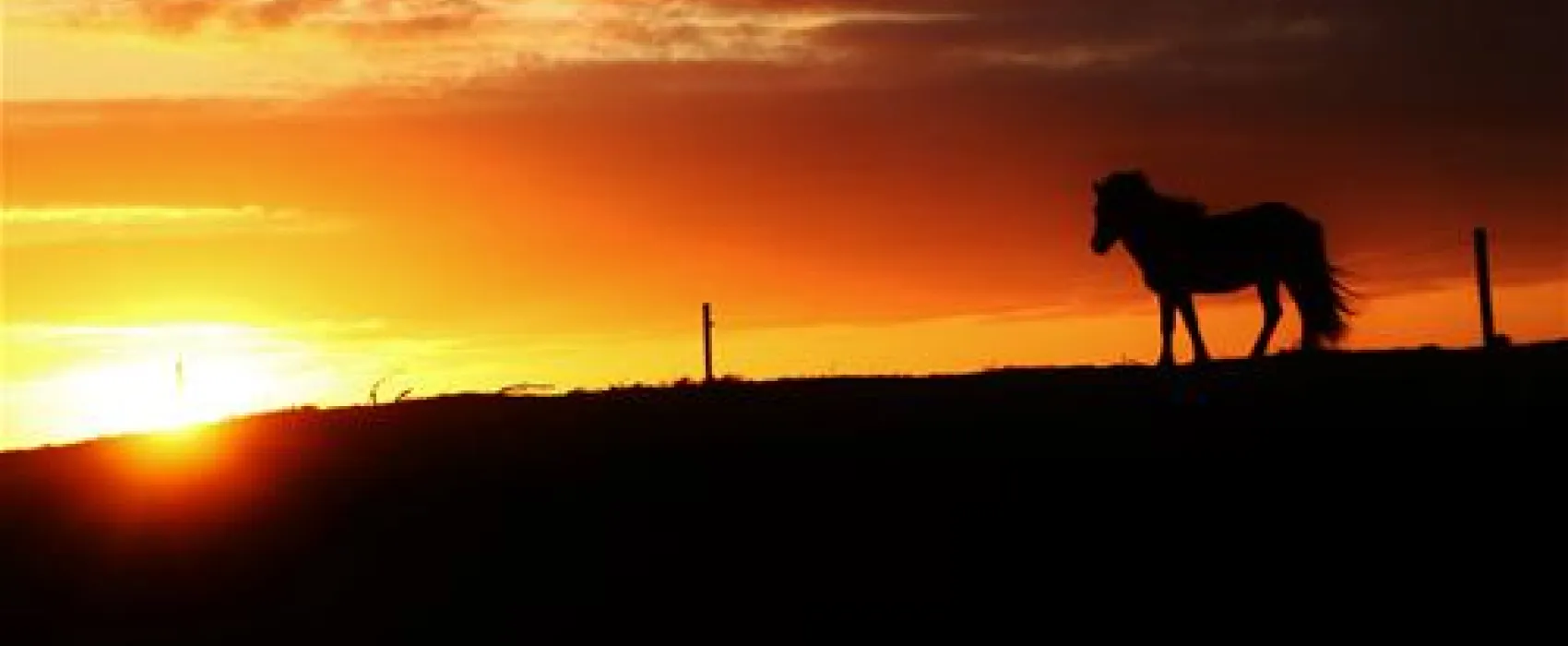 Gl. Klitgaard Camping + Hytteby