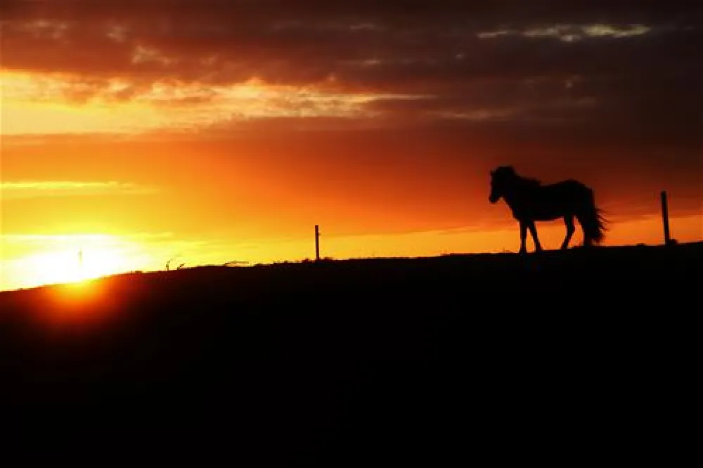 Gl. Klitgaard Camping + Hytteby