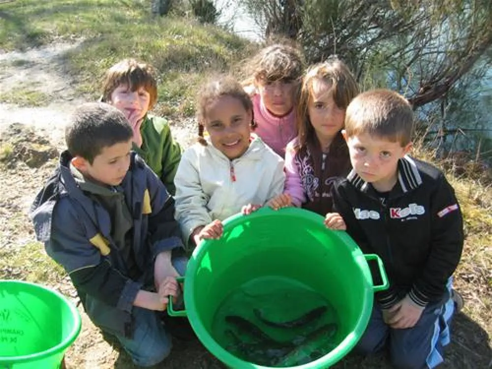 Flower Camping - Les Etangs