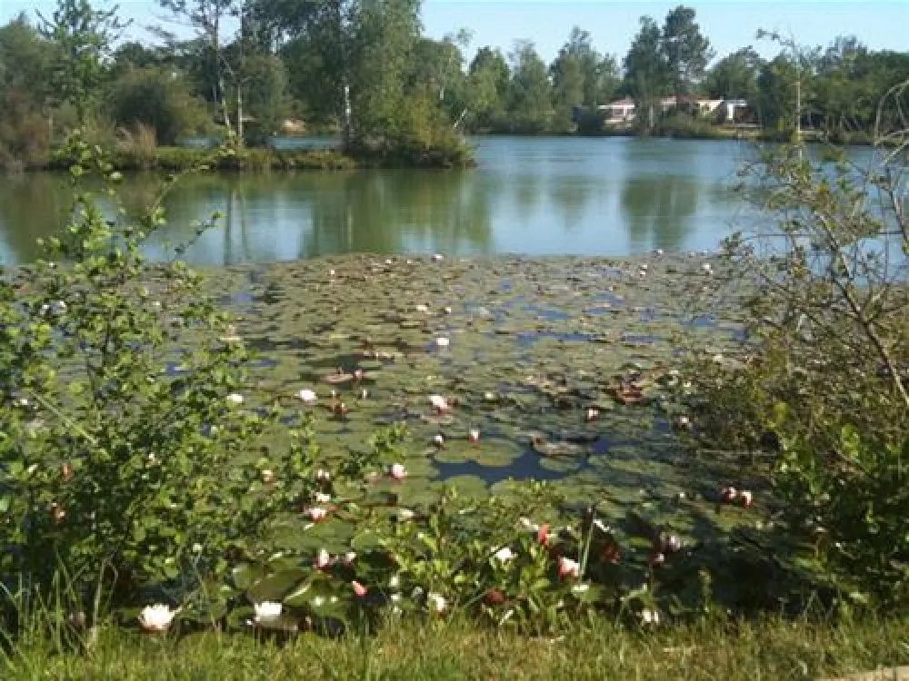 Flower Camping - Les Etangs
