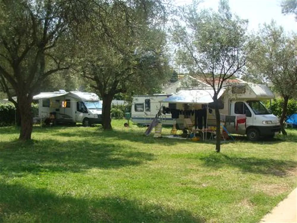 Camping Oliva