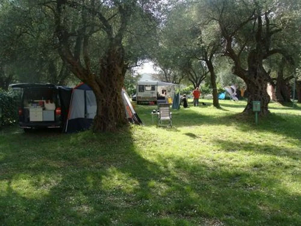 Camping Oliva