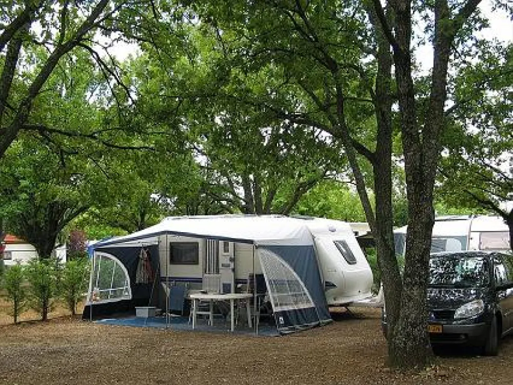 Camping International