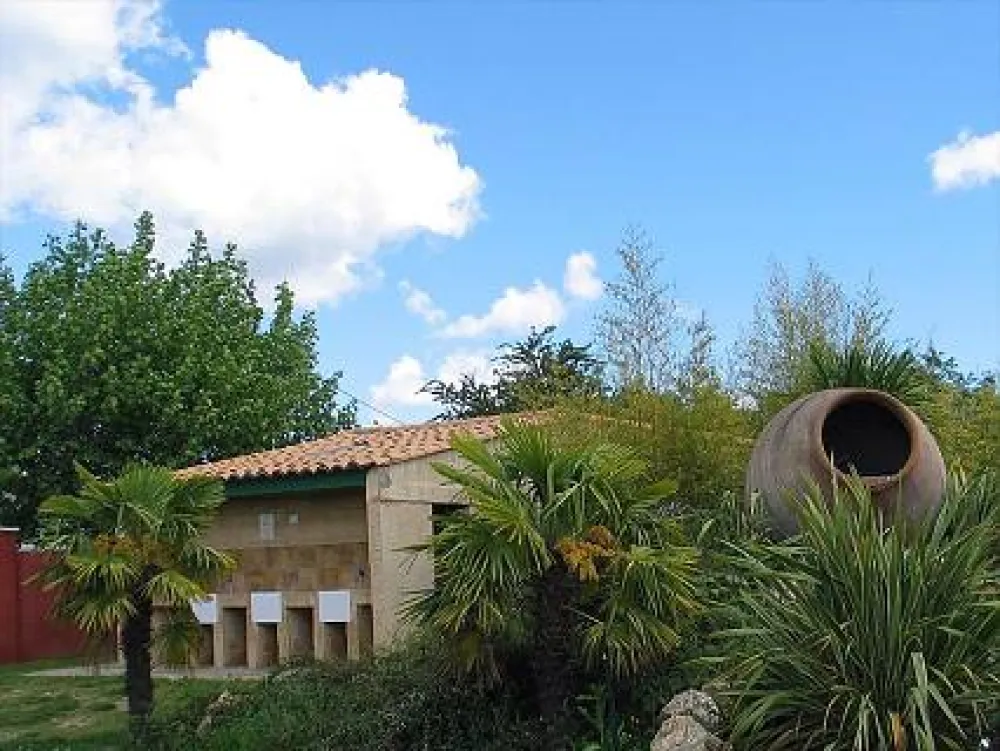 Camping International