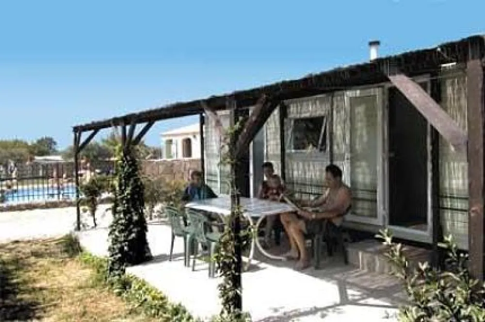 Camping International