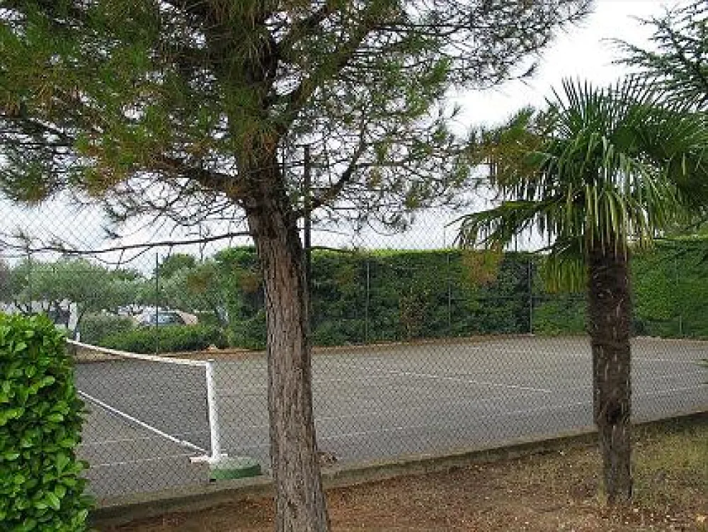 Camping International