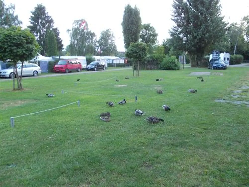 Camping Schiefer Turm