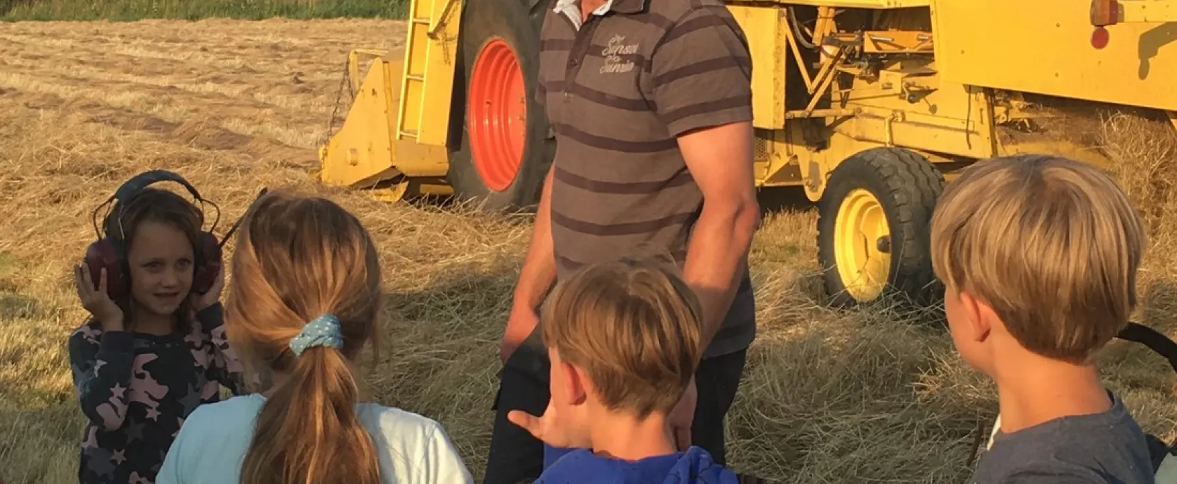 Minicamping Zonnehoek