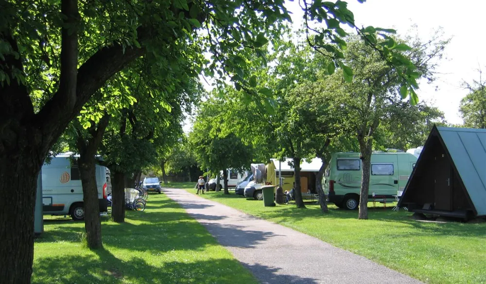 Triocamp Praha - Top in Prague