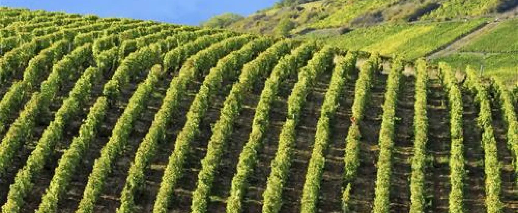 Les Portes de la Loire