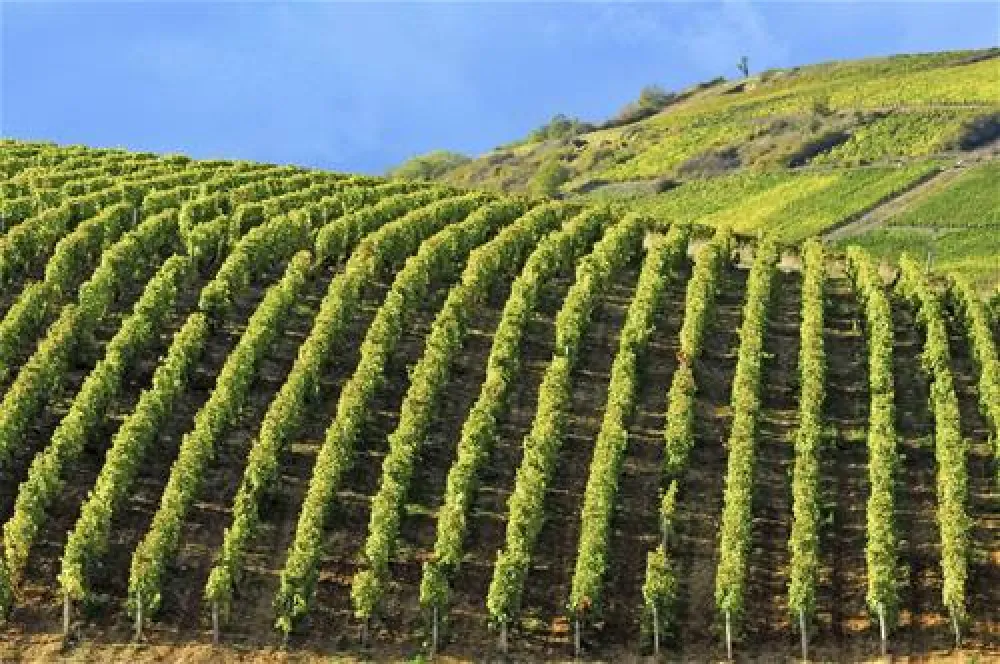 Les Portes de la Loire