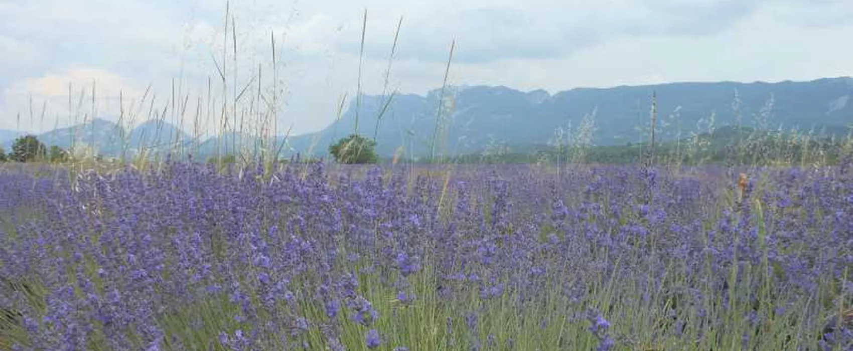 Camping du  Moulin Foulon