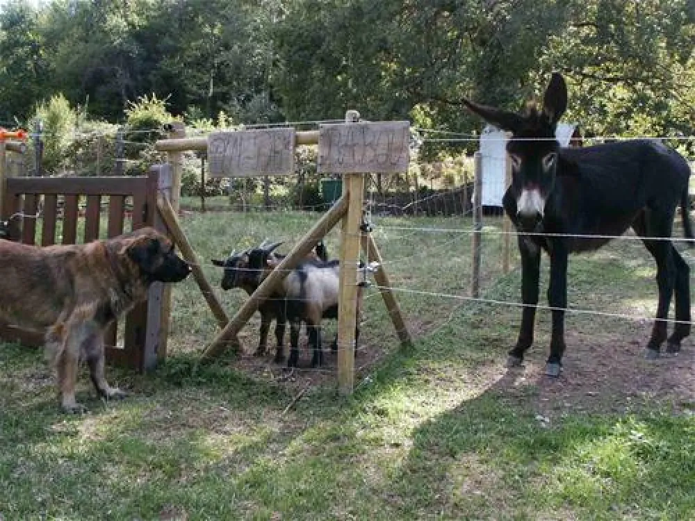 Camping Le Roquelongue