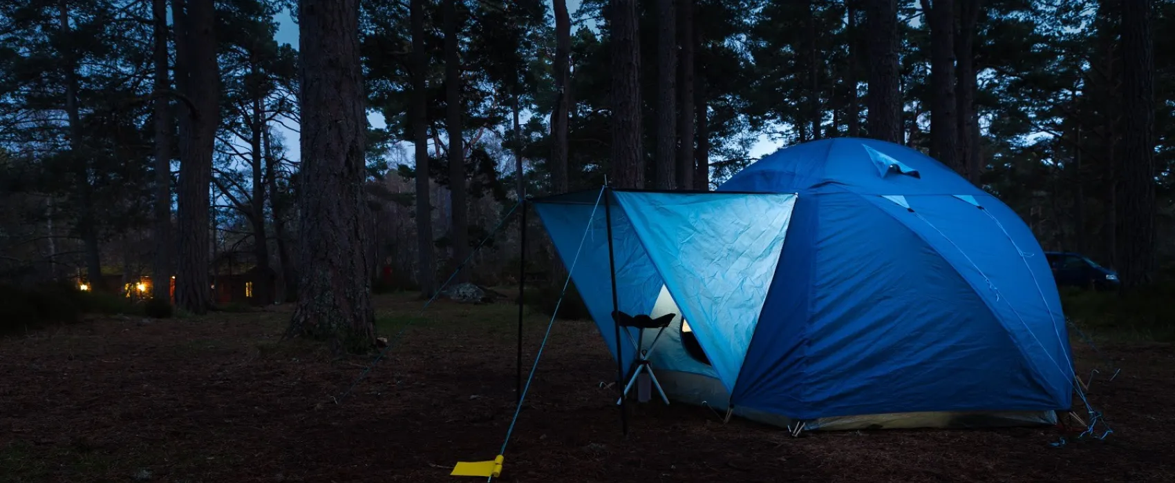 Rothiemurchus Camping & Caravan Park