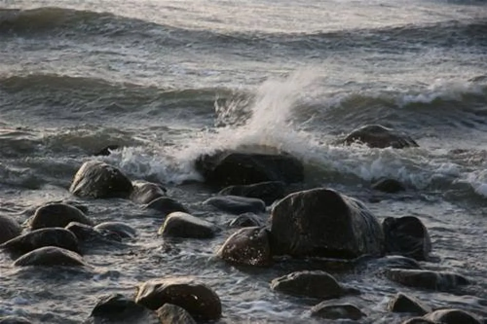 Kyst Camping - Bogense