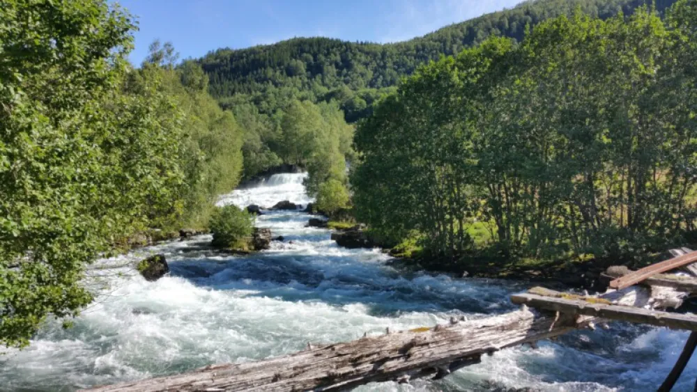 Viksdalen Camping