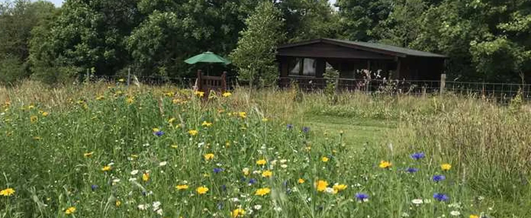 Argoed Meadow Camping and Caravan Site
