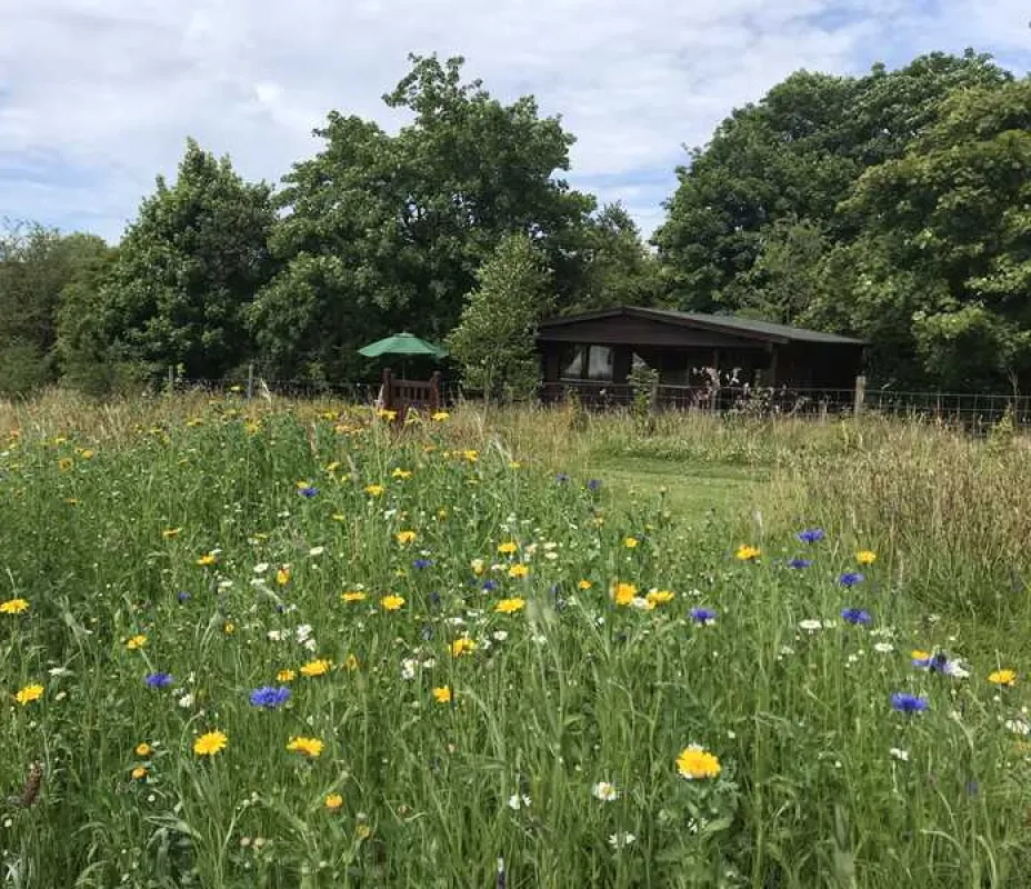 Argoed Meadow Camping and Caravan Site