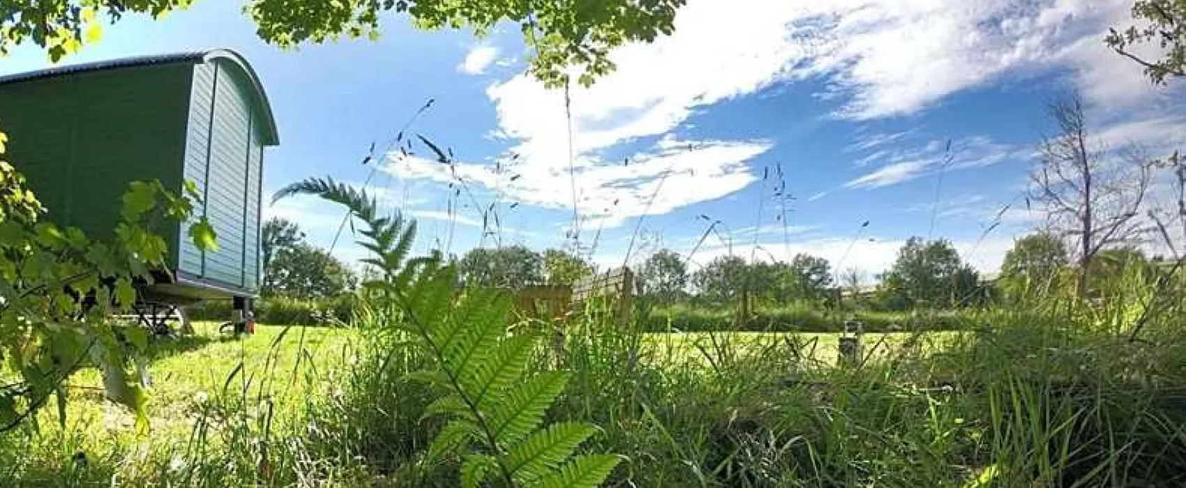Argoed Meadow Camping and Caravan Site