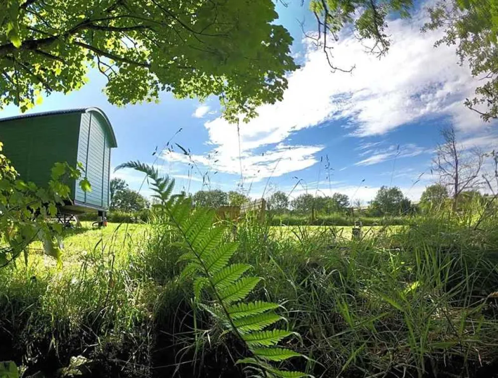 Argoed Meadow Camping and Caravan Site