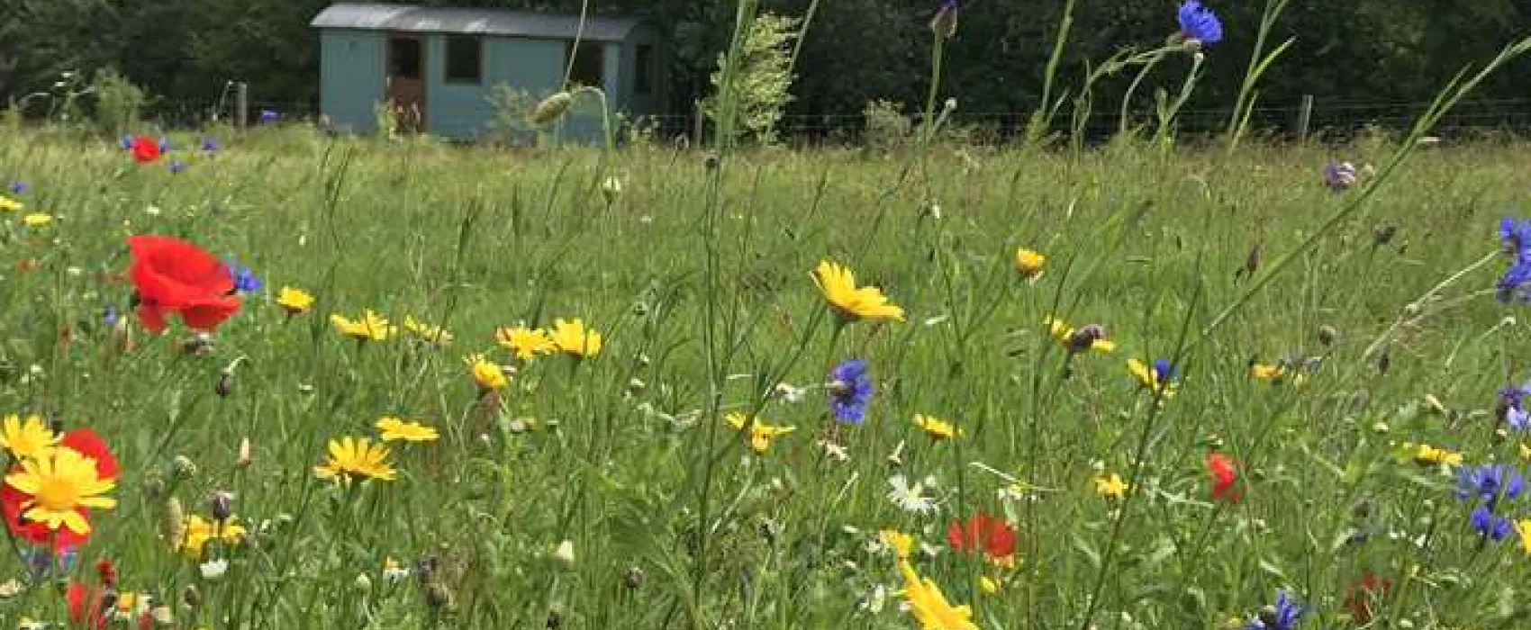 Argoed Meadow Camping and Caravan Site
