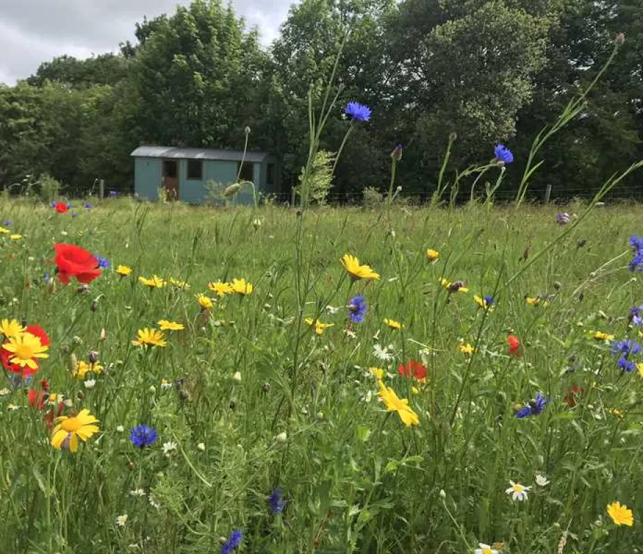 Argoed Meadow Camping and Caravan Site
