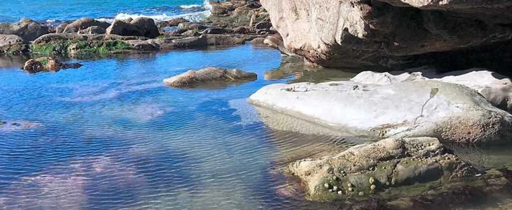 Argoed Meadow Camping and Caravan Site