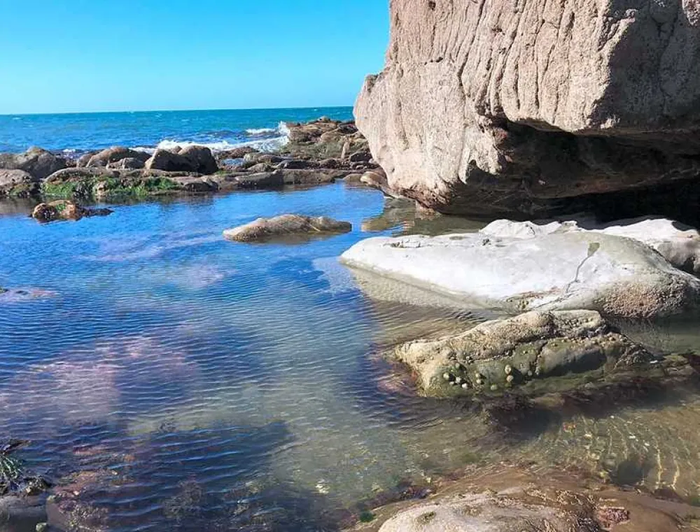 Argoed Meadow Camping and Caravan Site