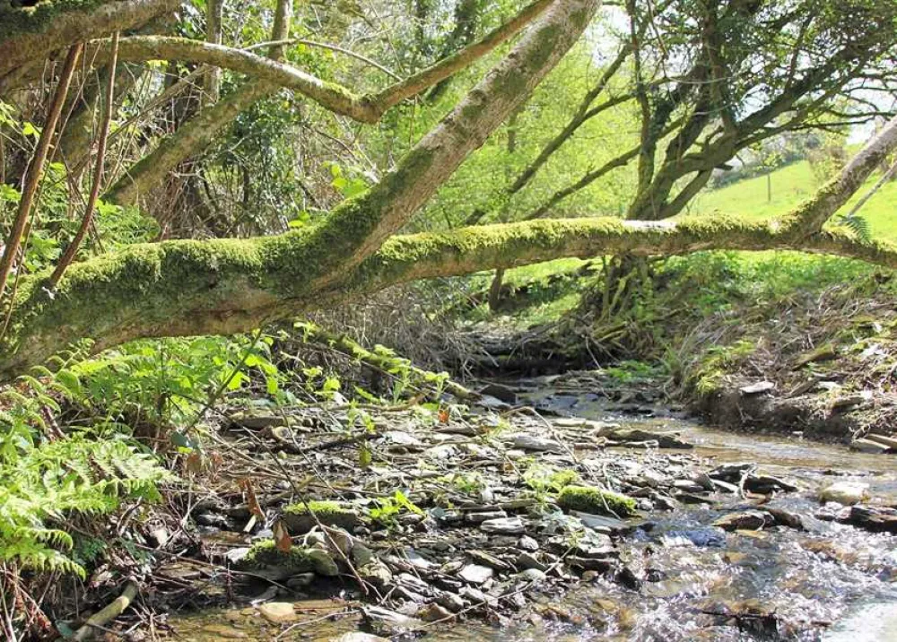 Argoed Meadow Camping and Caravan Site