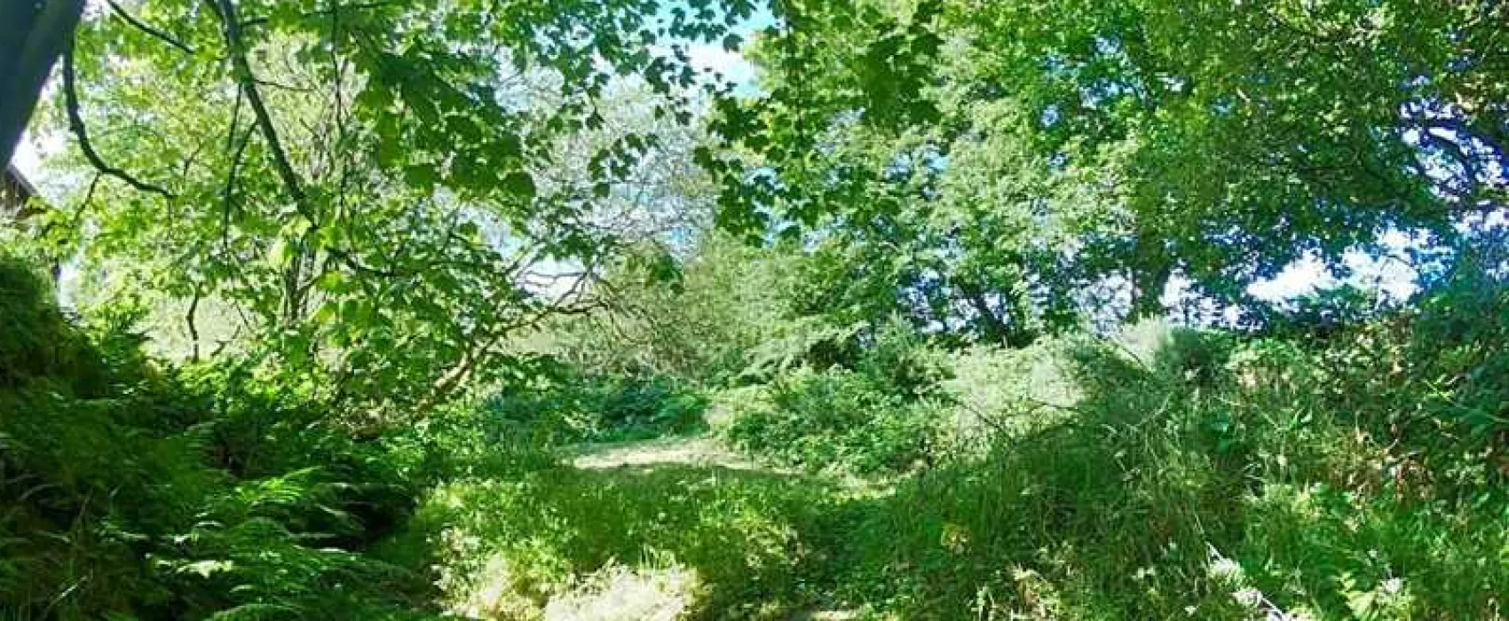 Argoed Meadow Camping and Caravan Site