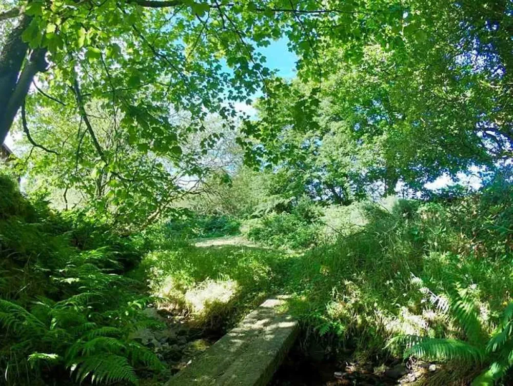 Argoed Meadow Camping and Caravan Site