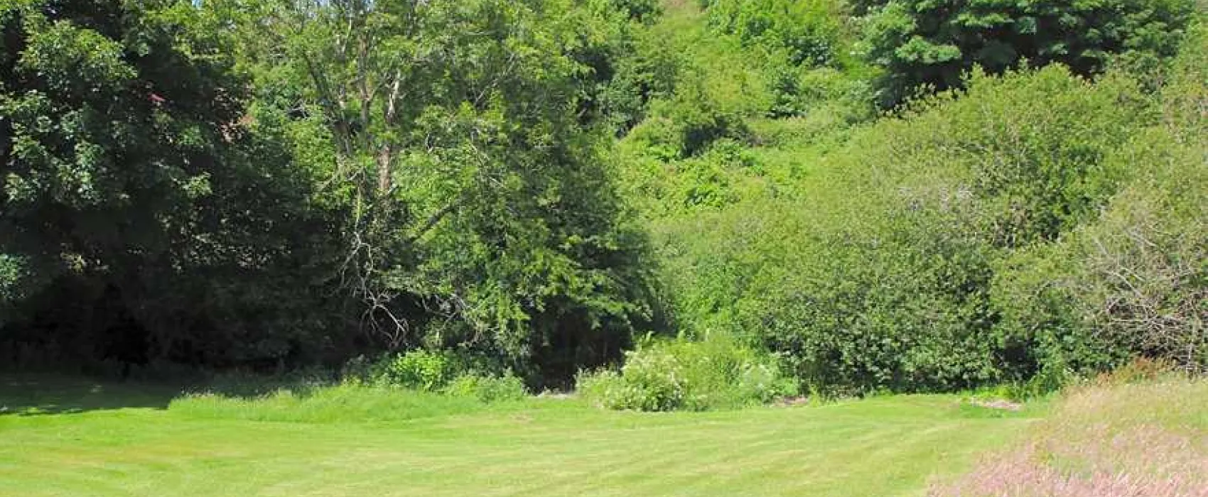 Argoed Meadow Camping and Caravan Site