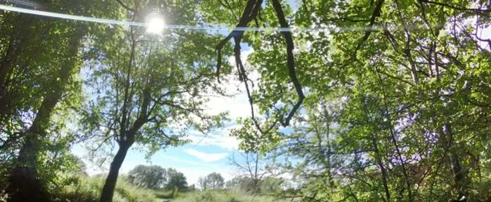 Argoed Meadow Camping and Caravan Site