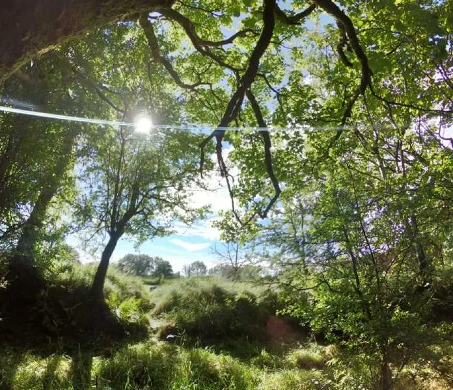 Argoed Meadow Camping and Caravan Site