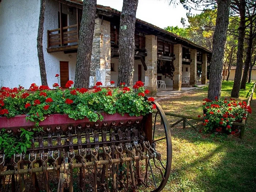 Campeggio Belvedere Pineta