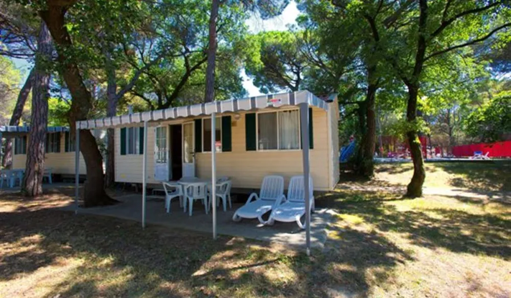 Campeggio Belvedere Pineta