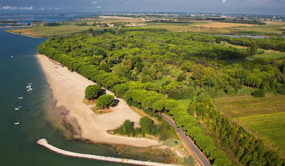 Campeggio Belvedere Pineta