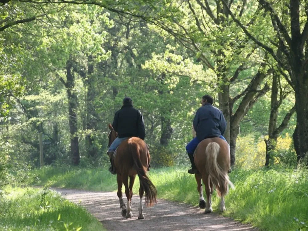 Camping de Kernejeune