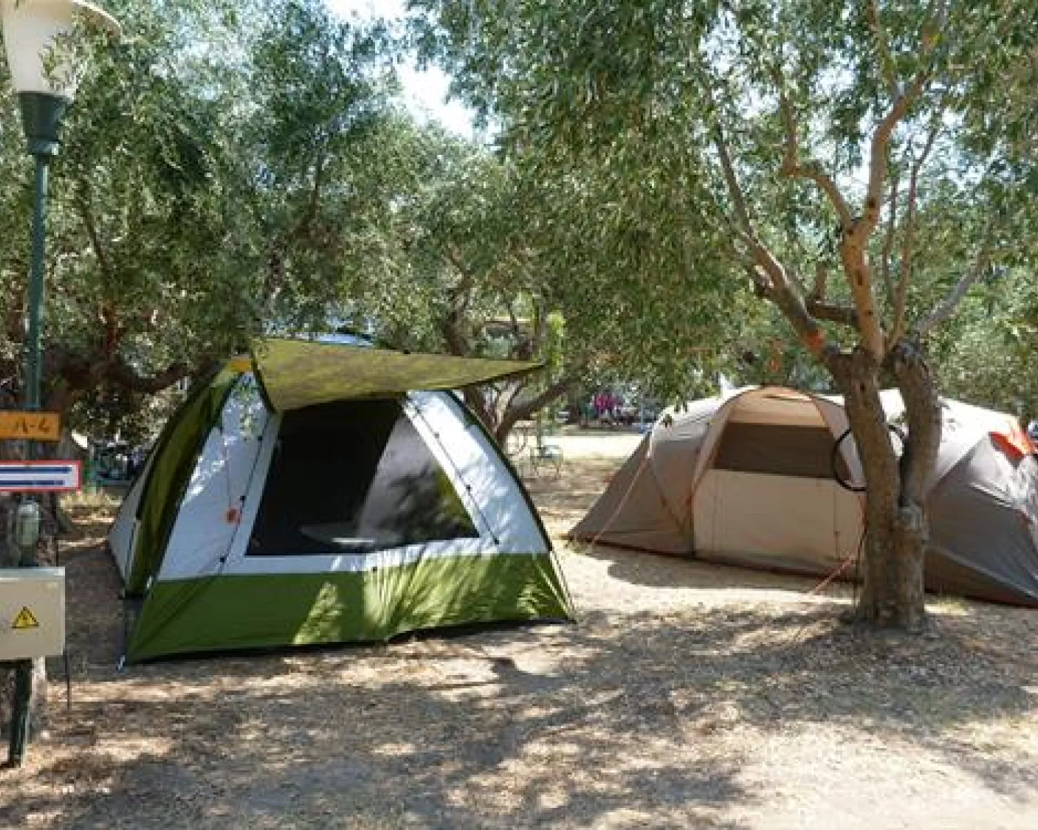 schlafsack grand canyon Whistler 190 Mumien-Schlafsack – Ultraleichter Sommerschlafsack mit Rundum-Reißverschluss für Reisen, Trekking und Camping Storm Blue, Einheitsgrösse Sport & Freizeit Treffen Sie Ihre Wahl::8,5 2015 Ford Expedition Camping Park Weiherhof |